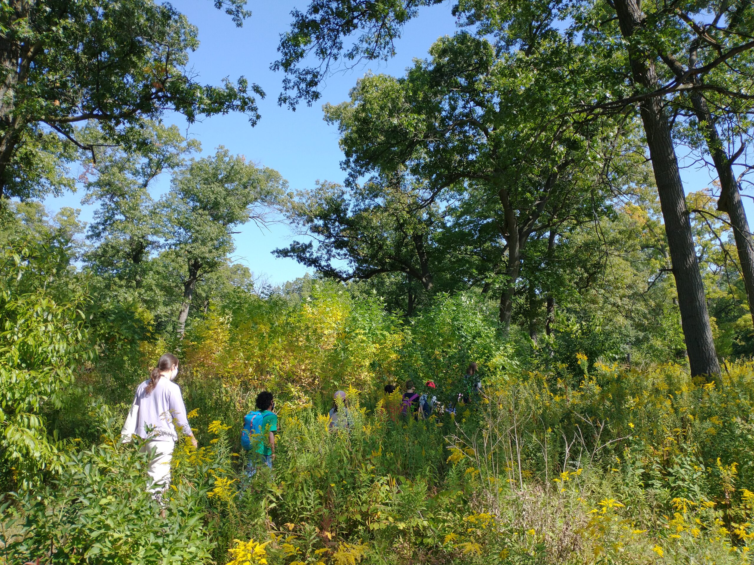 High Park Nature Centre (Deacon Legacy Grantee)