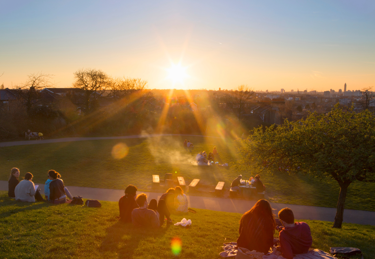 Social Capital cover