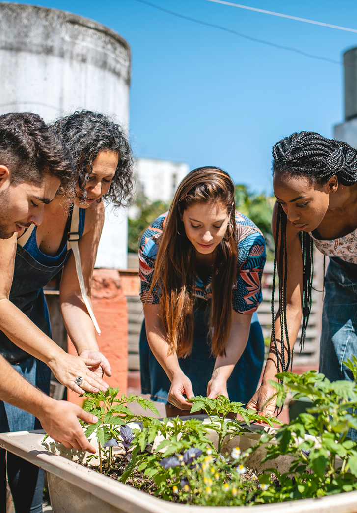 TF-WWD-Section1-Photo