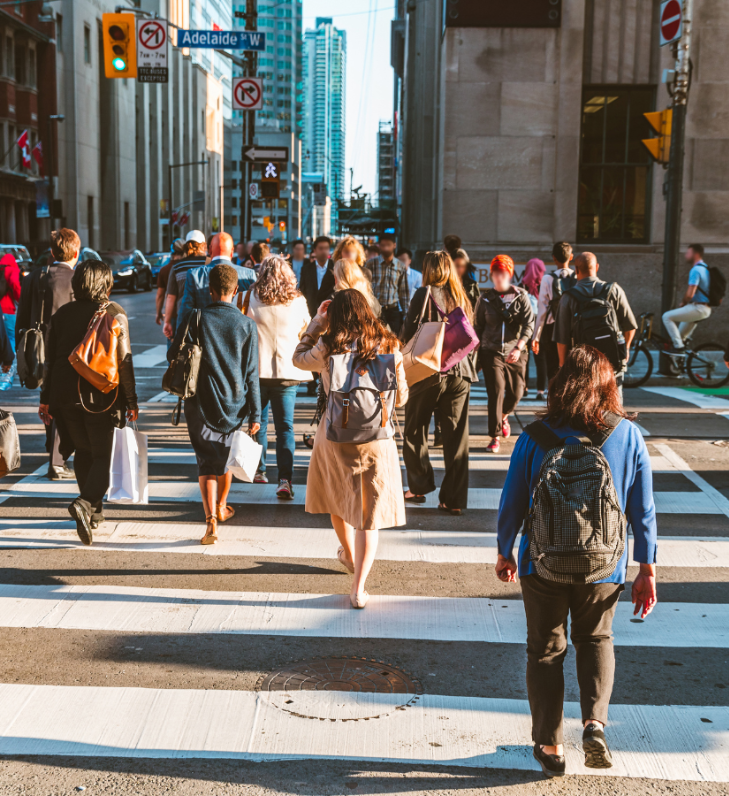 Untitled design - 2026-01-05T121307.150