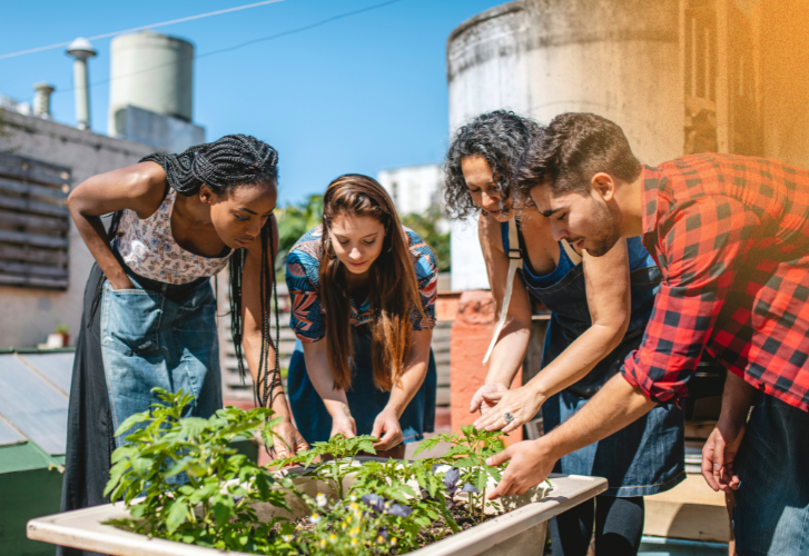 TVS GRANTS HEADER NEW WEBSITE