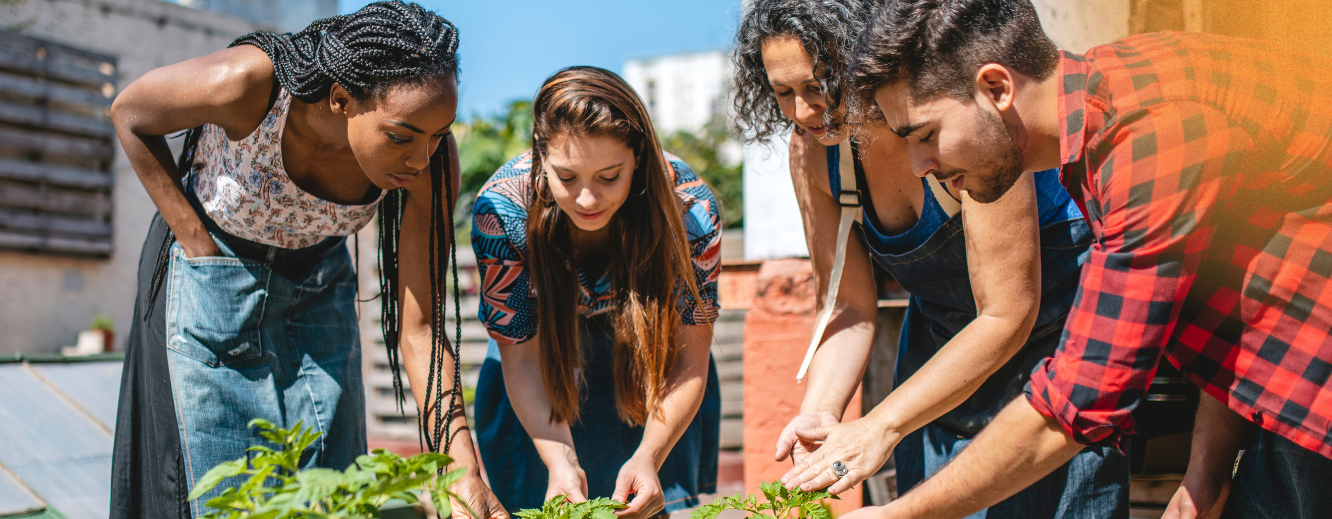 homepage TVS Grants (2)