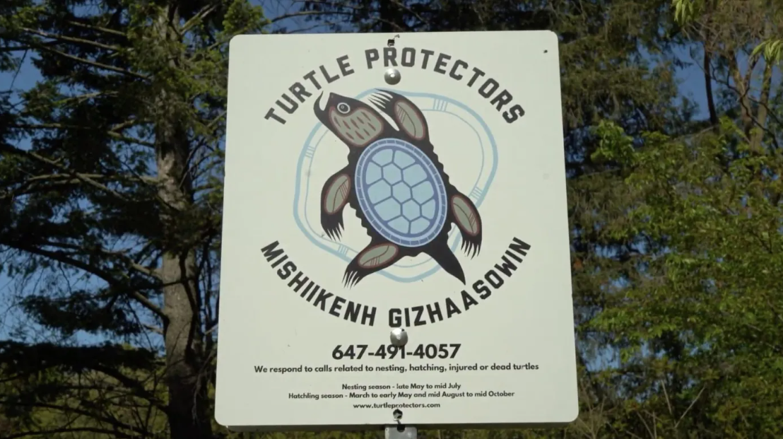 Turtle Protectors sign