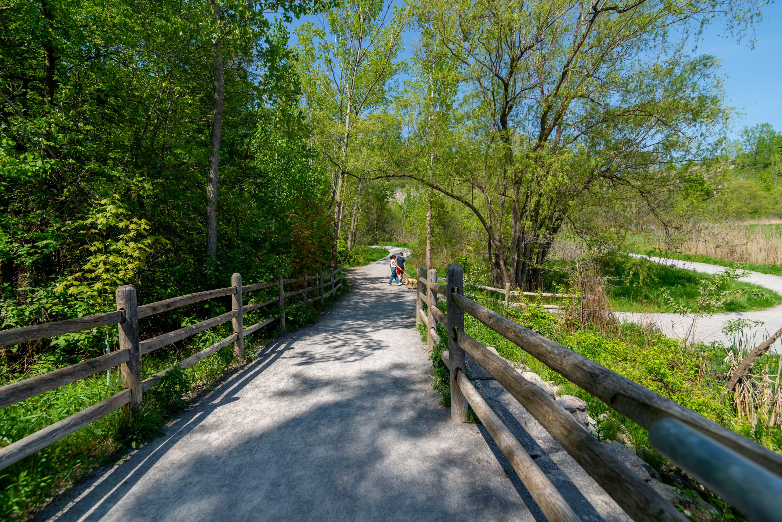Evergreen Brick Works Nature 2024