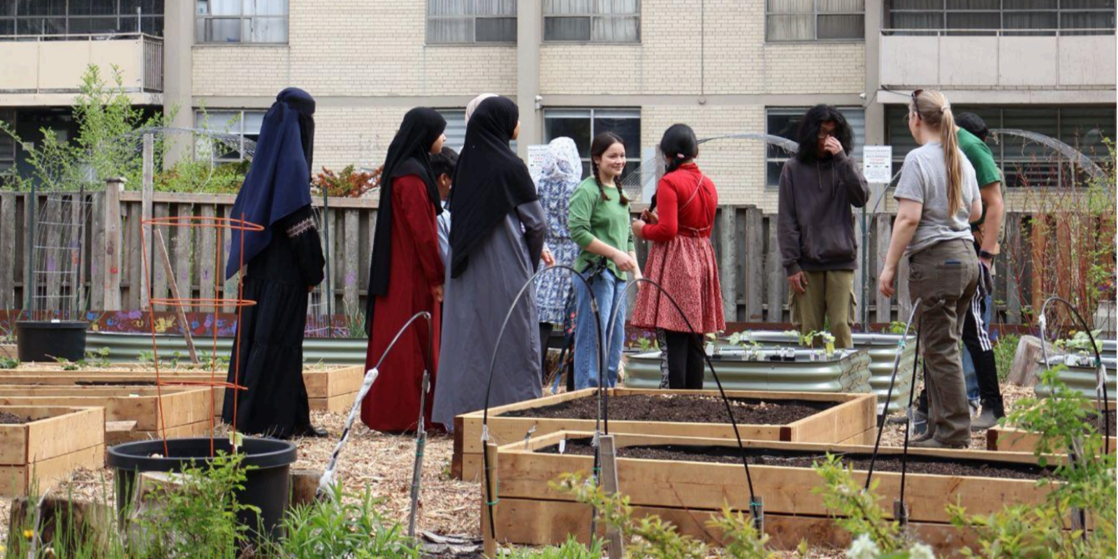 Thorncliffe Park Urban Farmers